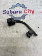 Разъем Subaru Legacy 2006