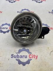 Фары противотуманные левые Subaru Forester 2002 контрактная Фары противотуманные левые Subaru Forester 2002
