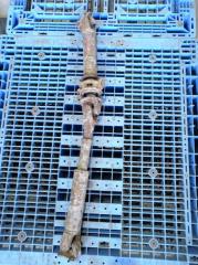 Карданный вал задний Toyota Hiace