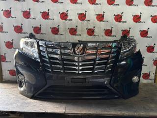 Nose cut TOYOTA ALPHARD