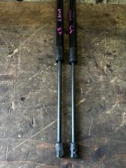 Амортизатор капота BMW X5 E70 N52B30AF 51237148346, PARA 3 ракурс