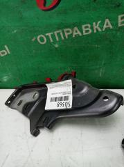 Петли на дверь левая передняя TOYOTA SIENTA NCP81 1NZ-FE 2 ракурс