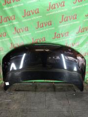 Капот передний NISSAN ELGRAND TE52 QR25DE F510M1JBMA 1 ракурс