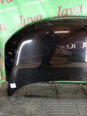 Капот передний NISSAN ELGRAND TE52 QR25DE F510M1JBMA 4 ракурс