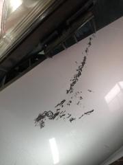 Ноускат передний NISSAN LEAF ZE0 EM61 5 ракурс