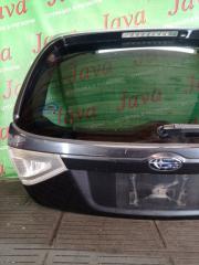 Дверь задняя задняя SUBARU IMPREZA XV GH6 EJ203 60809FG0009P 4 ракурс