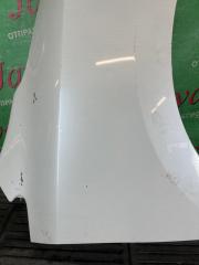 Крыло правое переднее NISSAN ELGRAND TE52 QR25DE 631001JB0B 5 ракурс