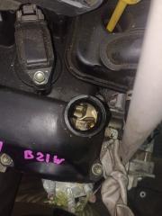 Двигатель NISSAN DAYZ B21W 3B20 2 ракурс