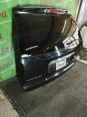 Дверь задняя задняя CHRYSLER VOYAGER RG EGA 3 ракурс