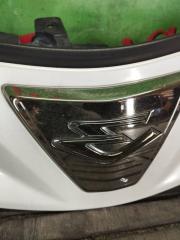 Решетка радиатора передняя TOYOTA ESTIMA ACR50 2AZ-FE 4 ракурс