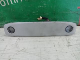 Плафон задний TESLA MODEL 3 5YJ3 3D1 P1092575-00-J 2 ракурс