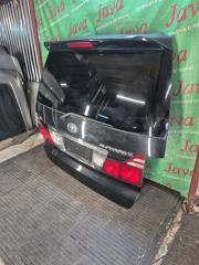 Дверь задняя задняя TOYOTA ALPHARD ANH10 2AZ-FE 2 ракурс