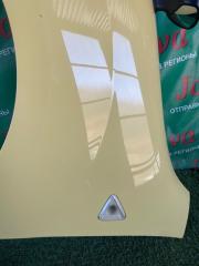Крыло левое переднее RENAULT KANGOO KW0 K4M 5 ракурс