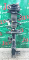 Стойка правая передняя NISSAN MURANO TZ51 QR25DE E43021AB1B 1 ракурс