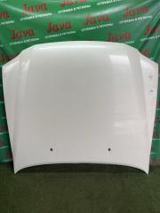 Капот передний NISSAN STAGEA WHC34 RB20E F51000V7MM 1 ракурс