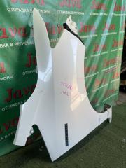 Крыло правое переднее HONDA SHUTTLE GP7 LEB 3 ракурс Крыло правое переднее HONDA SHUTTLE GP7 LEB 3 ракурс