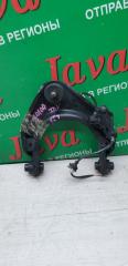Рычаг правый передний HONDA ELYSION RR1 K24A 4 ракурс