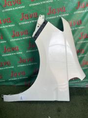 Крыло левое переднее HONDA STEPWGN RK1 R20A 1 ракурс