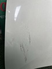 Капот передний HONDA STEPWGN RK1 R20A 4 ракурс