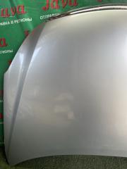 Капот передний NISSAN BLUEBIRD SYLPHY KG11 MR20DE F5100EW0MM 4 ракурс