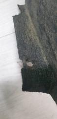 Подкрылок правый задний BMW X5 E70 N52B30A 3 ракурс