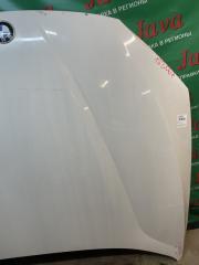 Капот передний BMW X1 E84 N46B20B 41002993151 5 ракурс