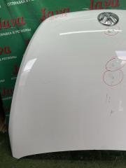 Капот передний VOLKSWAGEN BEETLE 5C1 CBZ 4 ракурс Капот передний VOLKSWAGEN BEETLE 5C1 CBZ 4 ракурс