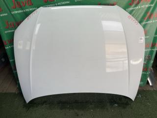 Капот передний AUDI A3 8V1 CXS 1 ракурс