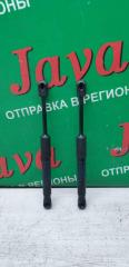 Амортизатор капота передний BMW 1-SERIES F70 B47C20B 788258 1 ракурс
