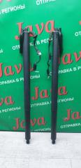 Амортизатор задней двери BMW 1-SERIES F70 B47C20B 17893910 1 ракурс