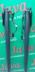 Амортизатор задней двери BMW 1-SERIES F70 B47C20B 17893910 2 ракурс