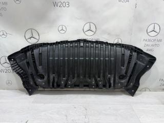Защита бампера передняя E-class W212
