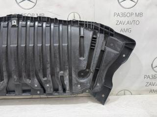 Защита бампера передняя E-class W212