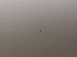 Дверь передняя левая RAV4 2008 XA30 1AZFE