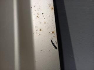 Дверь передняя левая RAV4 2008 XA30 1AZFE