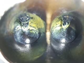 ДВИГАТЕЛЬ (ОРИГИНАЛ) RIO 2 2010 G4EE