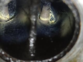 ДВИГАТЕЛЬ (ОРИГИНАЛ) RIO 2 2010 G4EE