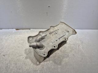 Радиатор охлаждения OMODA C5 2023