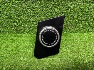 Кнопка Geely Tugella 2023