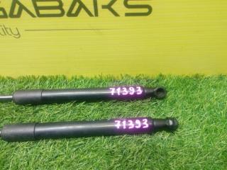 Амортизатор капота BMW X1 2009-2012 E84 N46B20 41612990344 3 ракурс