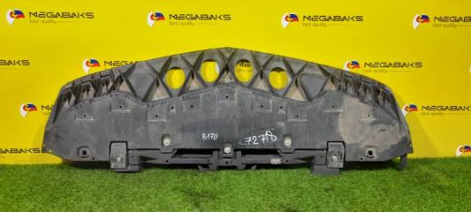 Защита бампера передняя MERCEDES-BENZ B-CLASS 2005-2008 245232 A0105427717 1 ракурс