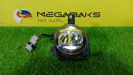 Туманка правая TOYOTA TANK M900A 114-11092 1 ракурс