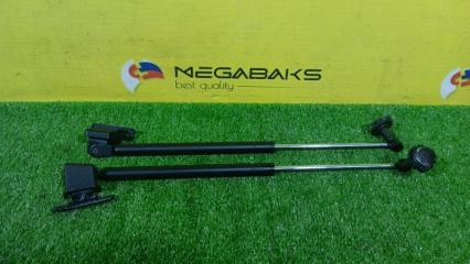 Амортизатор задней двери NISSAN LIBERTY PNM12 SR20DE 90460WF100 1 ракурс
