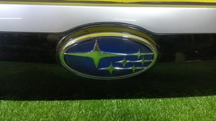 Накладка 5-й двери SUBARU FORESTER SG5 EJ203 II MODEL 2 ракурс