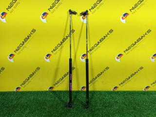 Амортизатор задней двери MITSUBISHI LANCER CEDIA CS5W 4G93 MR556499 1 ракурс