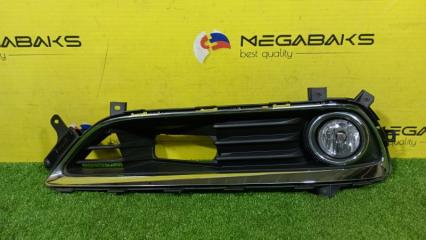 Туманка NISSAN CIMA HGY51 89210094 1 ракурс