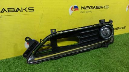 Туманка NISSAN CIMA HGY51 89210094 4 ракурс