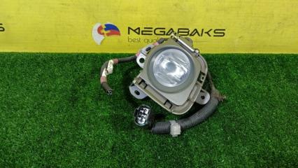 Туманка левая TOYOTA PRIUS ZVW30 8148247020 1 ракурс