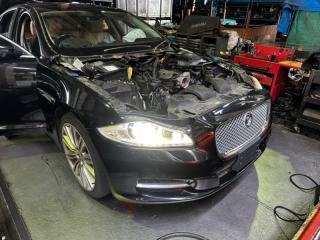 Nose cut JAGUAR XJ X351 508PN 5 ракурс
