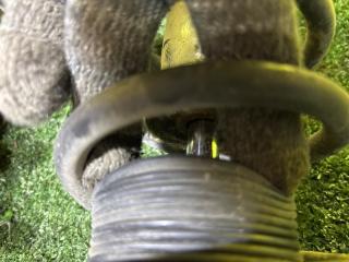 Стойка задняя SUBARU IMPREZA GH2 EL154 20365FG150 5 ракурс Стойка задняя SUBARU IMPREZA GH2 EL154 20365FG150 5 ракурс